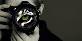 Looking at a photographer straight on as he takes a shot, the large green eye of tiger is revealed in the lens of his camera.